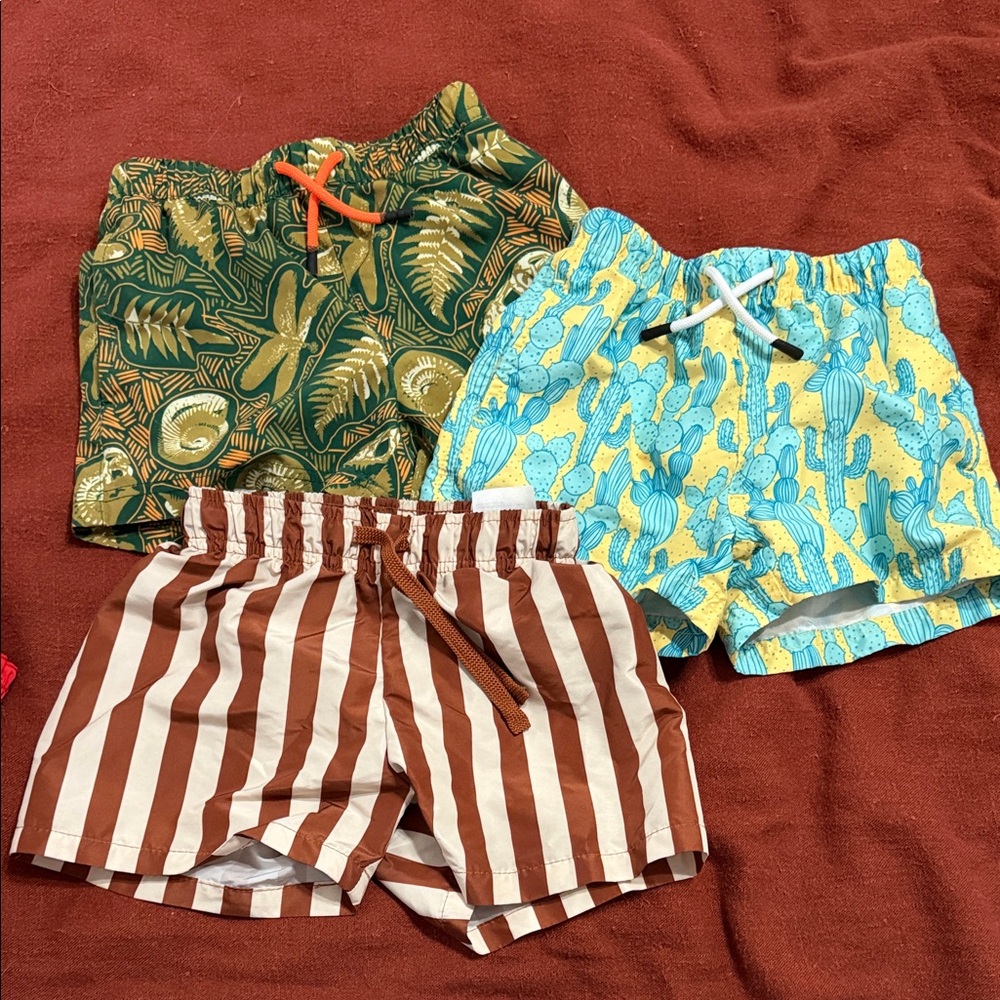 Tropical and Striped Kids Swim Trunks Set